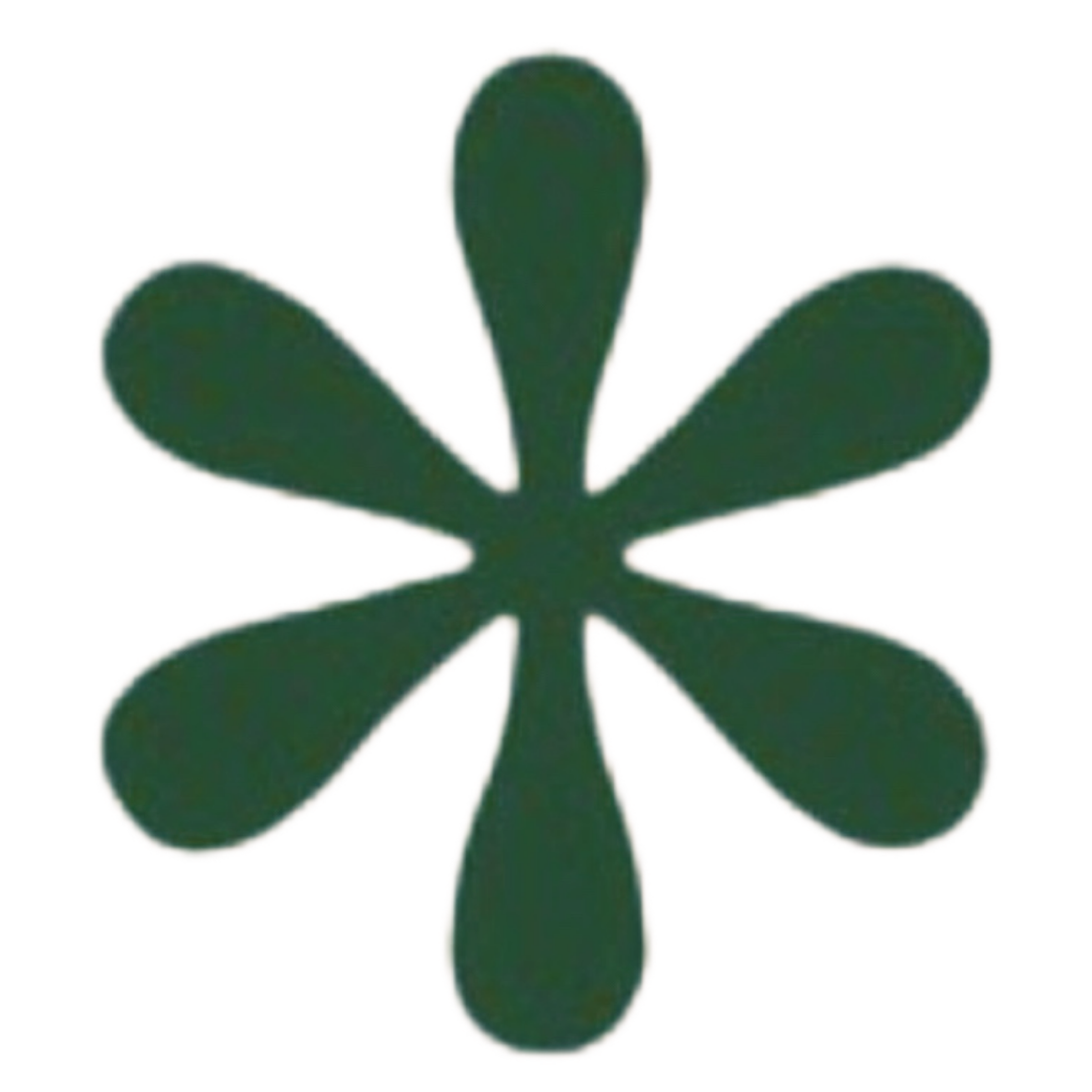 Hashima Surfhouse logo